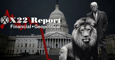 Trump Sends A Message To The [DS], The Lion Is Getting Ready To Strike – Ep. 3316