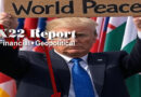 [DS] Pushing A Hybrid War, Trump Is Using The Shutdown To Defund The [DS], Timing, Peace – Ep. 3745