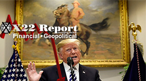 [DS] Division Agenda Confirmed, Trump Sets Plan In Motion To Take Back America