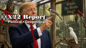 Ep 3914b - [DS] Players Are Being Targeted,When Do Birds Sing?Trump Wins Again, Elections Are Safe