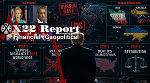 Step 1,RINOs Removed, Step 2,Destroy The D’s In Midterms, Leverage, Step 3,Retribution
