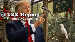 [DS] Players Are Being Targeted,When Do Birds Sing?Trump Wins Again, Elections Are Safe
