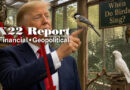 [DS] Players Are Being Targeted,When Do Birds Sing?Trump Wins Again, Elections Are Safe – Ep. 3914