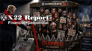 D’s Fell Right Into Trump’s Midterm Trap,The Movement Challenges The [DS] Narrative,Timing