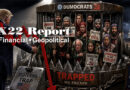 D’s Fell Right Into Trump’s Midterm Trap,The Movement Challenges The [DS] Narrative,Timing – Ep. 3964