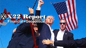 [DS]/D’s Midterm Propaganda Has Failed, This Is Not Just Another 4 Year Election, Fight